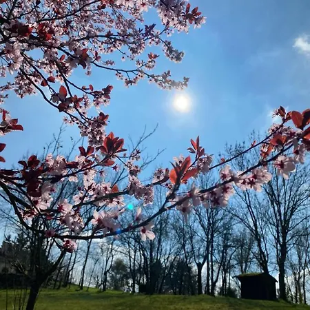 Le Petit Bleu D'hotes Bed and Breakfast