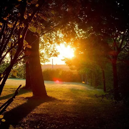 Bed and Breakfast Le Petit Bleu D'hotes 4*