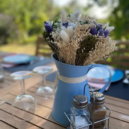 Le Petit Bleu D'hotes Bed and Breakfast *