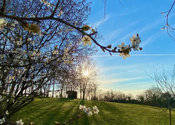 Le Petit Bleu D'hotes ベッド・アンド・ブレックファスト Bourg-de-Visa