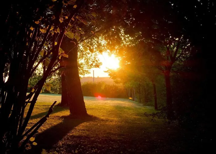 ベッド・アンド・ブレックファスト Le Petit Bleu D'hotes 4*