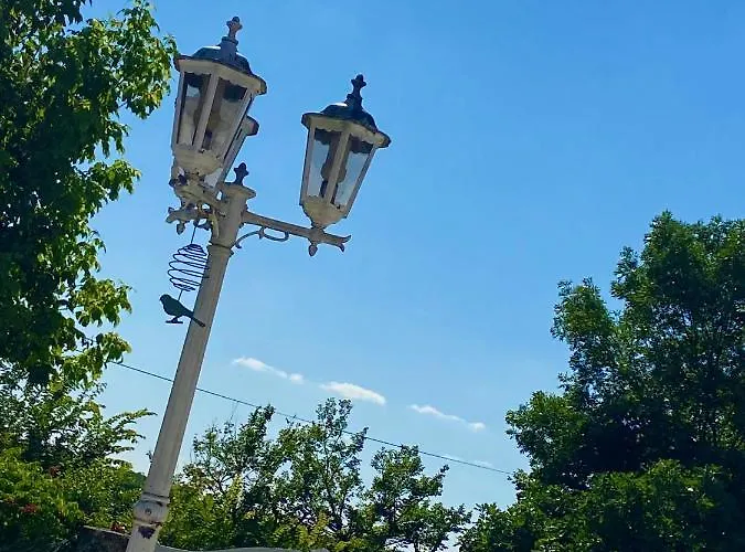 Le Petit Bleu D'hotes